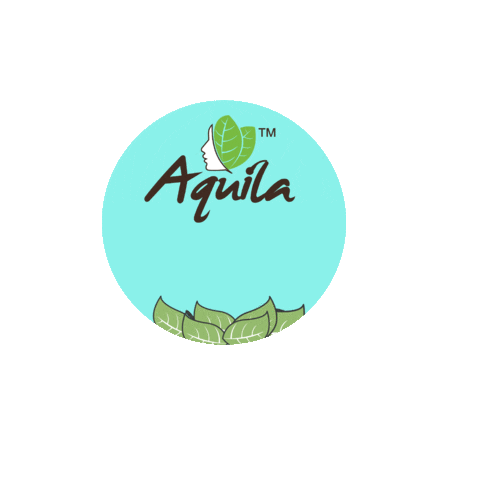 Aquilaherb giphyupload Sticker