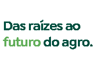 45 Anos Sticker by Famasul