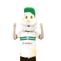 Coxa Coxadoido Sticker by Coritiba