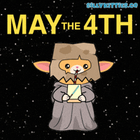 May The Fourth Be With You Star Wars GIF by Silly Kitties