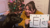 GIF by FlyWheel Partners