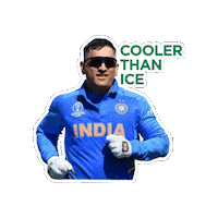 GarnierIndiaHair cricket ipl trust csk Sticker