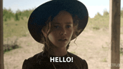 Little House On The Prairie Hello GIF by NETFLIX