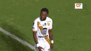 GIF by TD Más