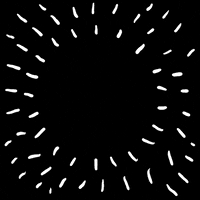 Star Wars Animation GIF by Squirlart