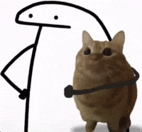 Cat Holding GIF