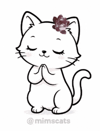 Cat Pray GIF