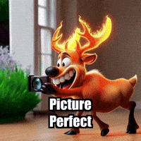 Picture Perfect Photography GIF by elkijahspark