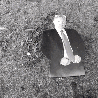 Sanctuary Yes GIF by Center for Story-based Strategy