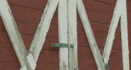 Save Yourselves GIF by Alamo Drafthouse