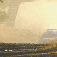 Wrc GIF by FIA World Rally Championship