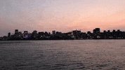 Discover Good Night GIF by Casol