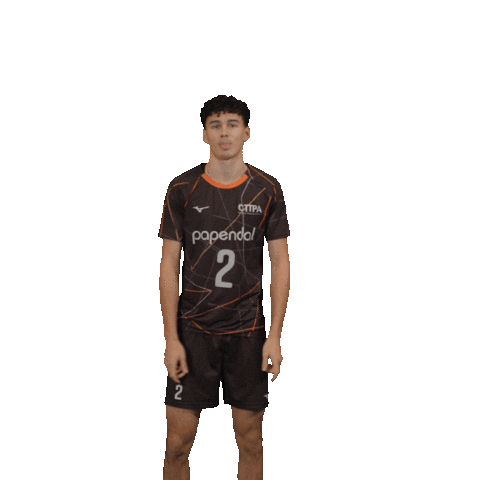 Volleyball Papendal Sticker by Nevobo