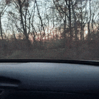 First Person Gta GIF