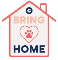 Rescue Foreverhome Sticker by Chewy