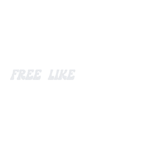 Free Like A Bird Freedom Sticker by Maddie And Tae