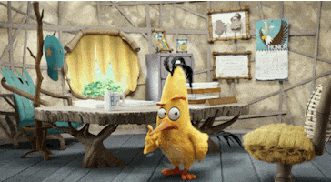 the angry birds movie office GIF by Angry Birds