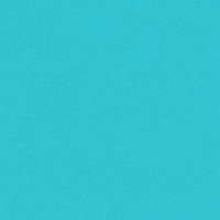 Joe Biden Trump GIF by Creative Courage