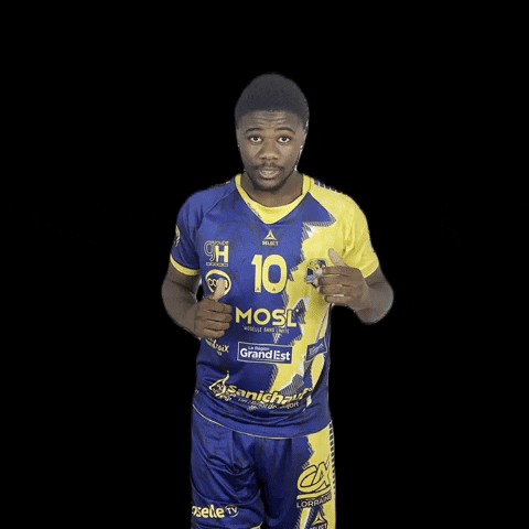 GIF by SARREBOURG HANDBALL