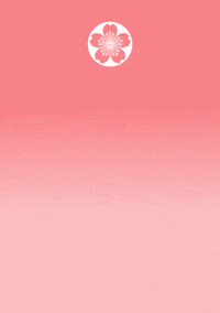 Ikebana_Basel flower flowers calm meditation GIF