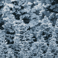 Snow Covered Loop GIF by Pi-Slices