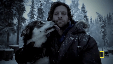 GIF by National Geographic Channel