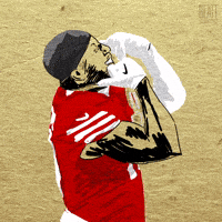 Antknee729 football animation nfl 49ers GIF