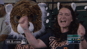 Major League Baseball Reaction GIF by Detroit Tigers