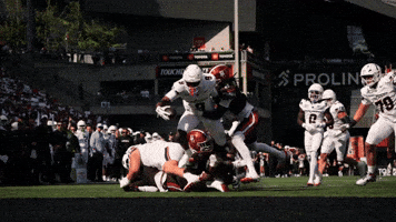 Cincinnati Football GIF by Cincinnati Bearcats
