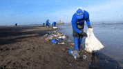 Celebration Beach GIF by 4ocean