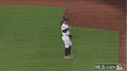 World Series Sport GIF by MLB