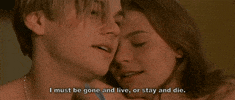 romeo and juliet love GIF