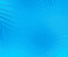 National Rum Day GIF by Live Nation