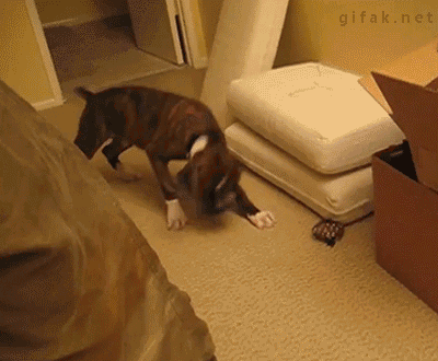 paper minutes GIF