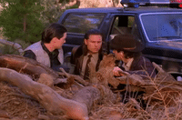season 2 episode 13 GIF by Twin Peaks on Showtime