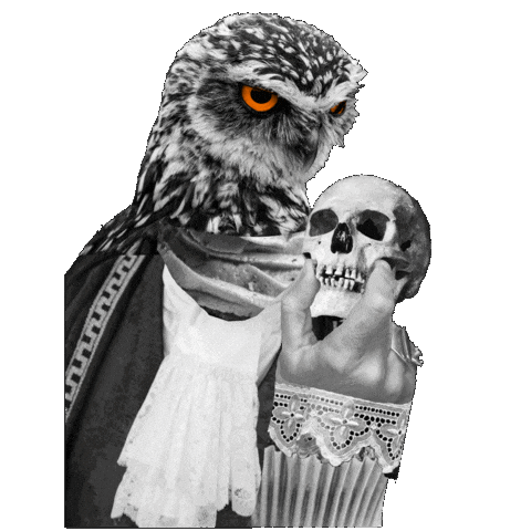 Actor Owl Sticker by EdinburghFringeFestival