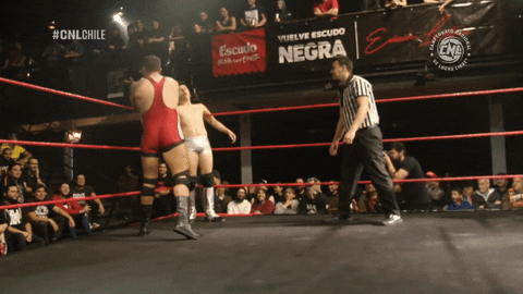 Fight Wrestling GIF by CNL Chile