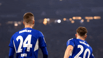 Simon Terodde Football GIF by FC Schalke 04
