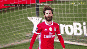 Sl Benfica Rafa GIF by Sport Lisboa e Benfica