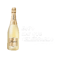 Party Celebrate Sticker by Freixenet