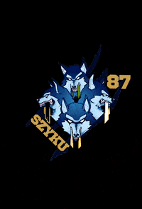 Quidditch Cumulus Nimbus GIF