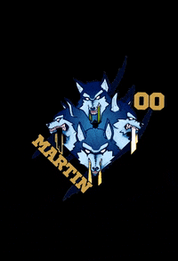 Quidditch Cumulus Nimbus GIF