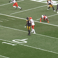 Excited Celebration GIF by Pittsburgh Steelers