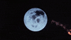 christmas vacation GIF