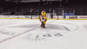 ice hockey GIF by Lehigh Valley Phantoms