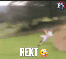 Defi Crypto Meme GIF by 1inch