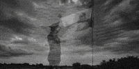 Iran Flag King GIF