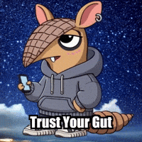 Wisdom Trust GIF by Chillo Dillo