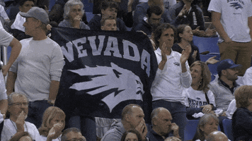 NevadaWolfPack college basketball nevada wolf pack unr GIF