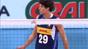 Volleyball Italia GIF